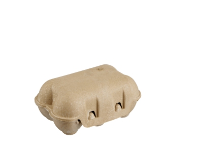 Sustainable quail egg box 6 pieces