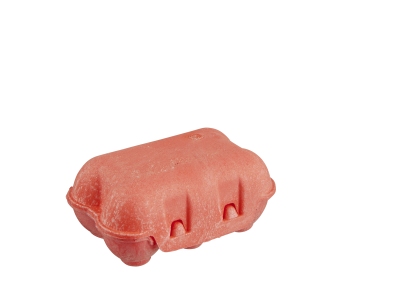 Sustainable quail egg box 6 pieces