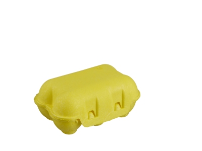 Sustainable quail egg box 6 pieces