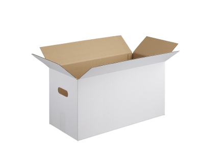 Outer carton 200 (20 x 10 eggs)