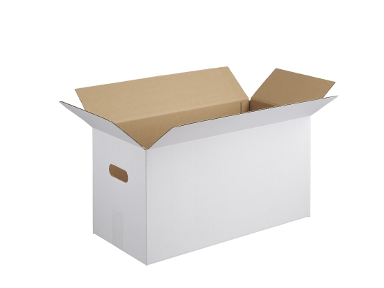 Outer carton 200 (20 x 10 eggs)