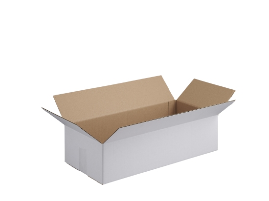 Outer carton 100 (10 x 10 eggs)